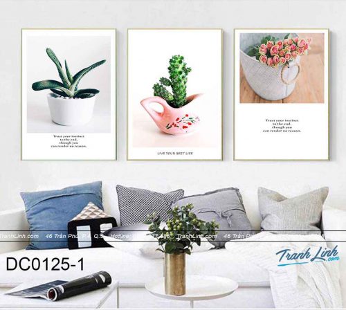 bo-tranh-canvas-trang-tri-decor-dc0125