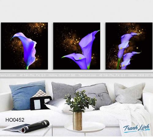 Bo tranh canvas hoa treo tuong trang tri phong khach 364