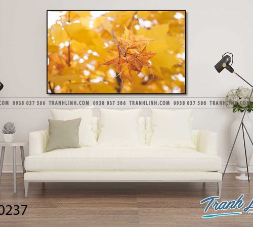 bo tranh canvas la cay nhiet doi trang tri 94