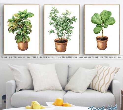 bo tranh canvas trang tri la cay nhiet doi 4