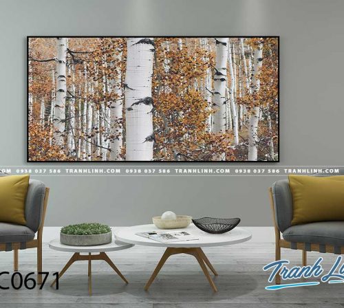Bo tranh Canvas treo tuong trang tri phong khach phong canh PC0671