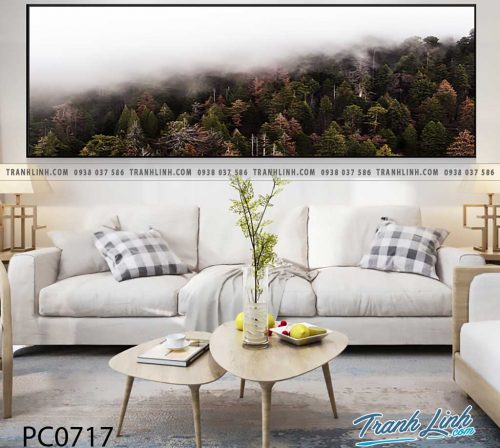 Bo tranh Canvas treo tuong trang tri phong khach phong canh PC0717