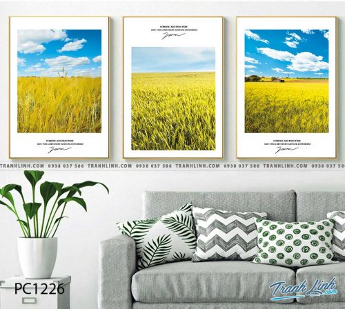 Bo tranh Canvas treo tuong trang tri phong khach phong canh PC1226