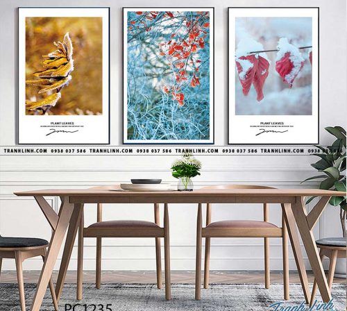Bo tranh Canvas treo tuong trang tri phong khach phong canh PC1235