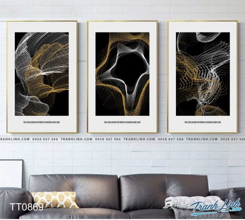 Bo tranh Canvas treo tuong trang tri phong khach truu tuong TT0869