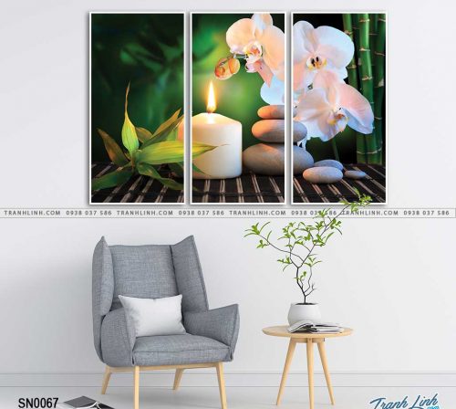 tranh canvas spa 54 1
