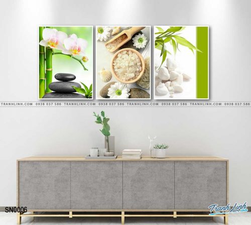 tranh canvas spa 6 1