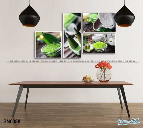 tranh canvas spa 66 1