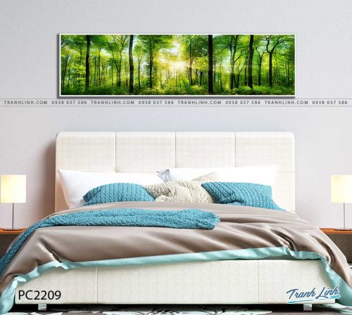 tranh canvas phong canh 2209