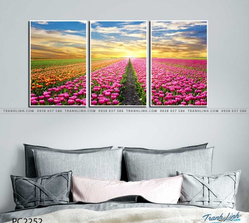 tranh canvas phong canh 2252