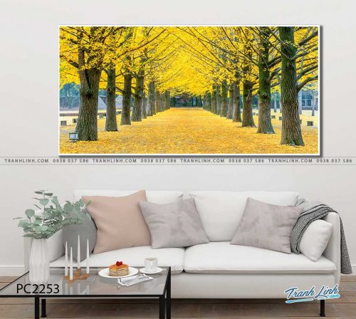 tranh canvas phong canh 2253
