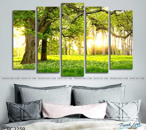 tranh canvas phong canh 2259