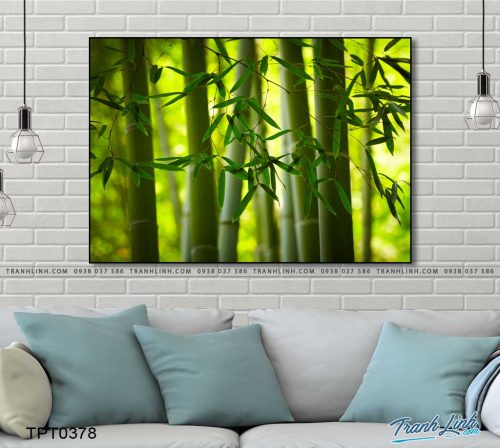 tranh canvas cay tre 57