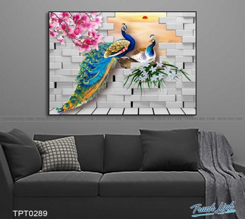 tranh canvas chim cong vuong gia 21