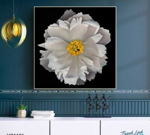 tranh canvas hoa 1186