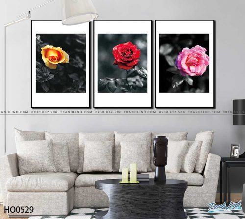 tranh canvas hoa 529