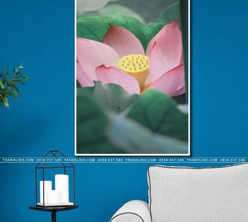 tranh canvas hoa 727