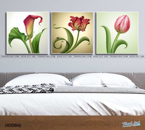 tranh canvas hoa 860