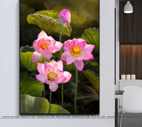 tranh canvas hoa 885