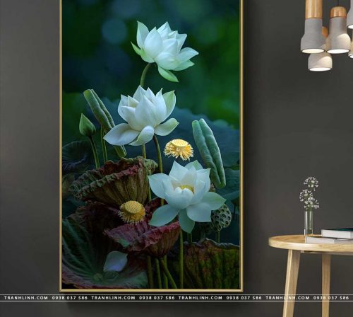 tranh canvas hoa 937
