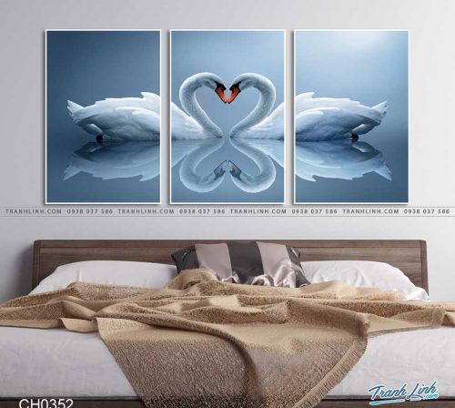 tranh chim thien nga 5