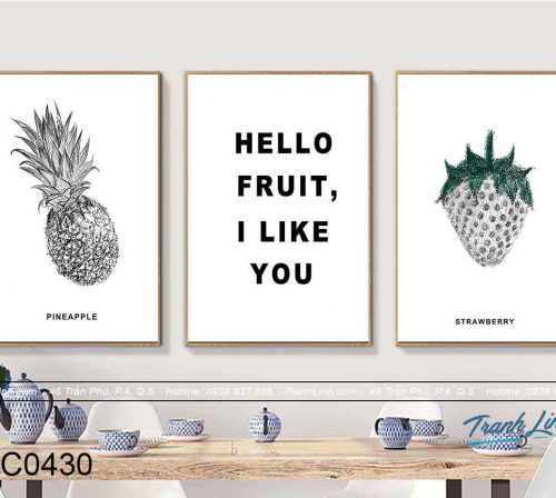 AnhSanPhamWeb - bo-tranh-canvas-trang-tri-decor-dc0430.jpg