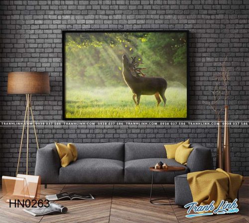 tranh_in_canvas_huou_nai_hn0263.jpg